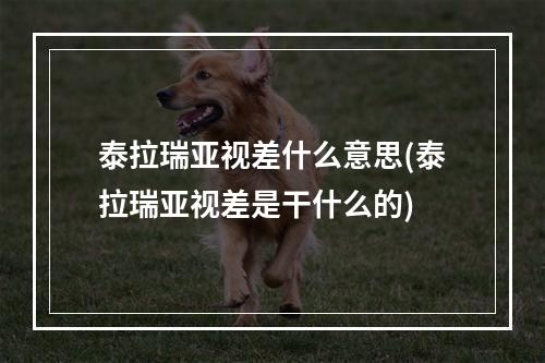 泰拉瑞亚视差什么意思(泰拉瑞亚视差是干什么的)