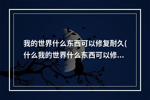 我的世界什么东西可以修复耐久(什么我的世界什么东西可以修复耐久)