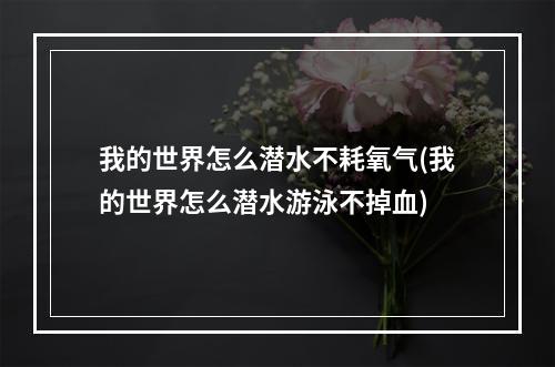 我的世界怎么潜水不耗氧气(我的世界怎么潜水游泳不掉血)