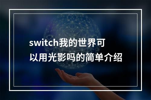 switch我的世界可以用光影吗的简单介绍