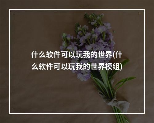 什么软件可以玩我的世界(什么软件可以玩我的世界模组)