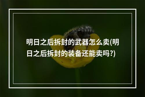 明日之后拆封的武器怎么卖(明日之后拆封的装备还能卖吗?)