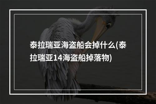 泰拉瑞亚海盗船会掉什么(泰拉瑞亚14海盗船掉落物)