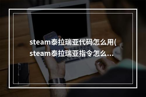 steam泰拉瑞亚代码怎么用(steam泰拉瑞亚指令怎么输入)