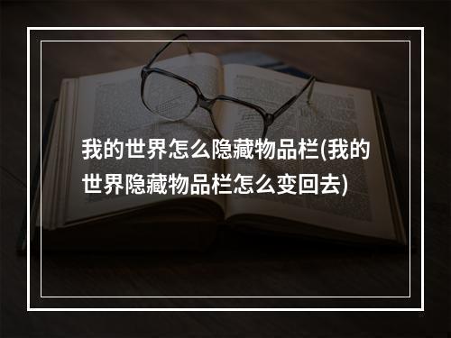 我的世界怎么隐藏物品栏(我的世界隐藏物品栏怎么变回去)