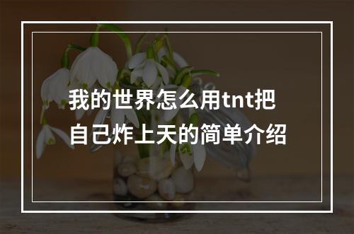 我的世界怎么用tnt把自己炸上天的简单介绍