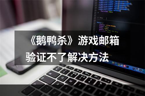 《鹅鸭杀》游戏邮箱验证不了解决方法