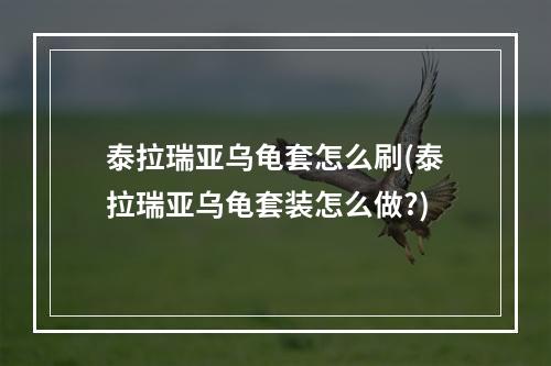 泰拉瑞亚乌龟套怎么刷(泰拉瑞亚乌龟套装怎么做?)