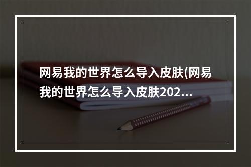 网易我的世界怎么导入皮肤(网易我的世界怎么导入皮肤2021)