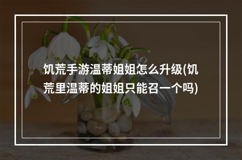 饥荒手游温蒂姐姐怎么升级(饥荒里温蒂的姐姐只能召一个吗)