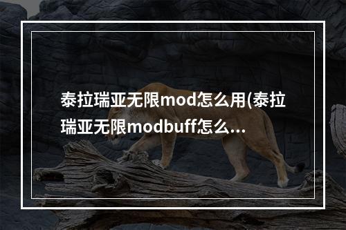 泰拉瑞亚无限mod怎么用(泰拉瑞亚无限modbuff怎么用)