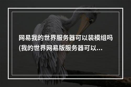 网易我的世界服务器可以装模组吗(我的世界网易版服务器可以加模组吗)