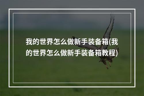 我的世界怎么做新手装备箱(我的世界怎么做新手装备箱教程)