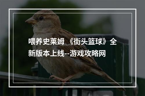 喂养史莱姆 《街头篮球》全新版本上线--游戏攻略网