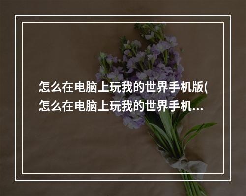 怎么在电脑上玩我的世界手机版(怎么在电脑上玩我的世界手机版模组)