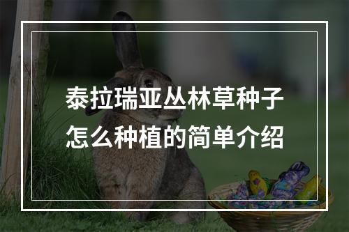 泰拉瑞亚丛林草种子怎么种植的简单介绍