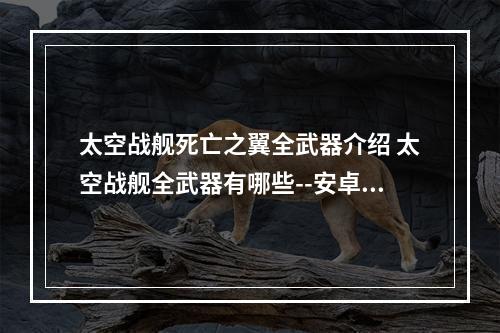 太空战舰死亡之翼全武器介绍 太空战舰全武器有哪些--安卓攻略网