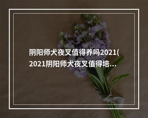 阴阳师犬夜叉值得养吗2021(2021阴阳师犬夜叉值得培养吗)