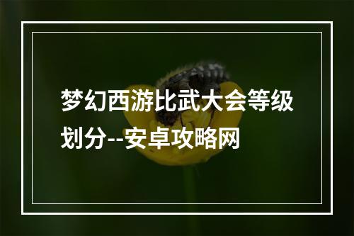 梦幻西游比武大会等级划分--安卓攻略网