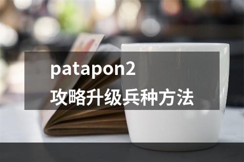 patapon2攻略升级兵种方法