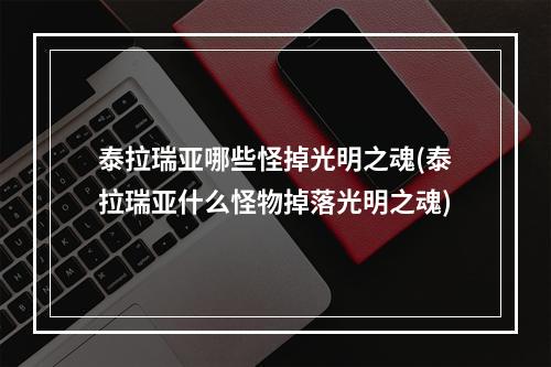 泰拉瑞亚哪些怪掉光明之魂(泰拉瑞亚什么怪物掉落光明之魂)