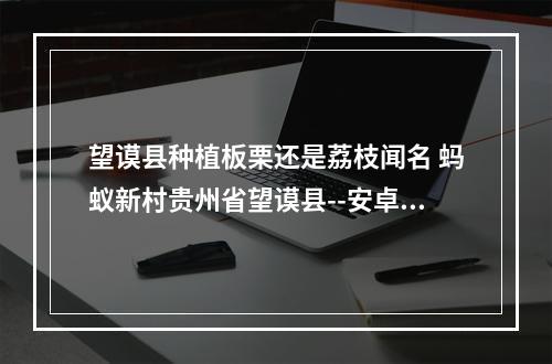 望谟县种植板栗还是荔枝闻名 蚂蚁新村贵州省望谟县--安卓攻略网