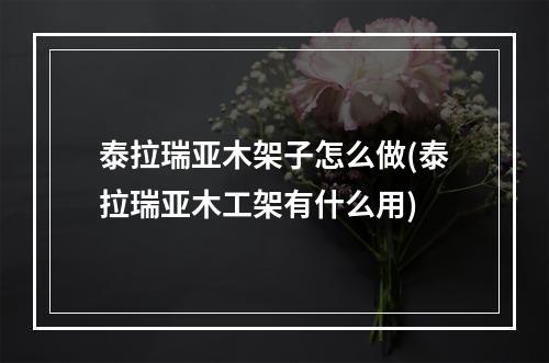 泰拉瑞亚木架子怎么做(泰拉瑞亚木工架有什么用)