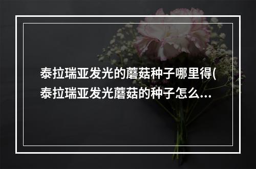 泰拉瑞亚发光的蘑菇种子哪里得(泰拉瑞亚发光蘑菇的种子怎么获得)