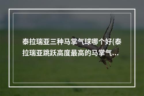 泰拉瑞亚三种马掌气球哪个好(泰拉瑞亚跳跃高度最高的马掌气球)