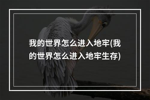 我的世界怎么进入地牢(我的世界怎么进入地牢生存)