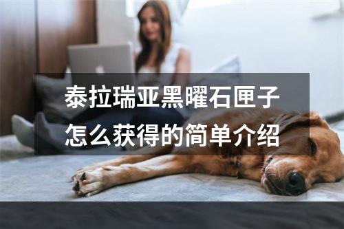 泰拉瑞亚黑曜石匣子怎么获得的简单介绍