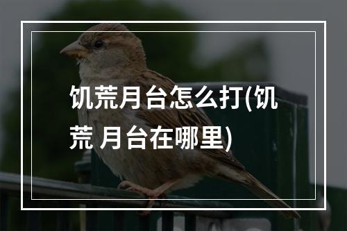 饥荒月台怎么打(饥荒 月台在哪里)