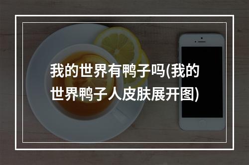 我的世界有鸭子吗(我的世界鸭子人皮肤展开图)