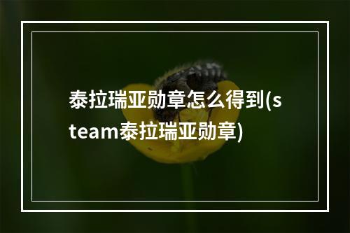 泰拉瑞亚勋章怎么得到(steam泰拉瑞亚勋章)