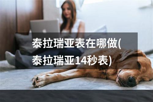 泰拉瑞亚表在哪做(泰拉瑞亚14秒表)