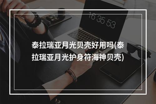 泰拉瑞亚月光贝壳好用吗(泰拉瑞亚月光护身符海神贝壳)