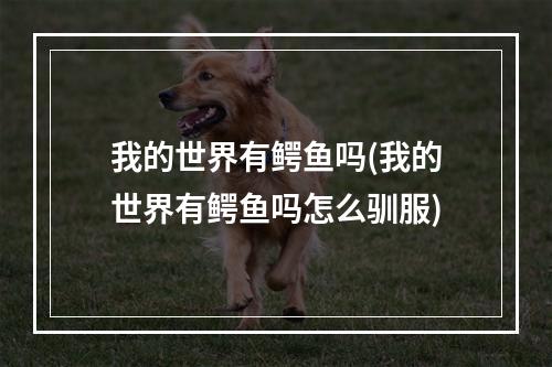 我的世界有鳄鱼吗(我的世界有鳄鱼吗怎么驯服)