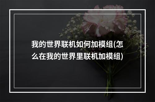 我的世界联机如何加模组(怎么在我的世界里联机加模组)