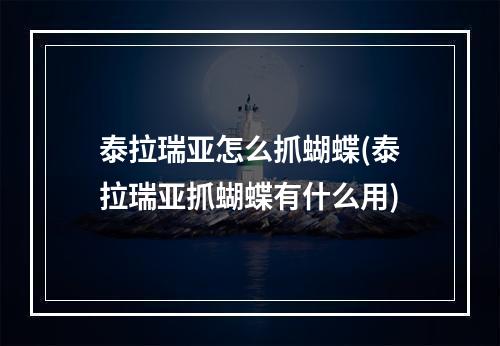 泰拉瑞亚怎么抓蝴蝶(泰拉瑞亚抓蝴蝶有什么用)