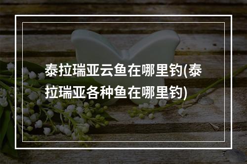 泰拉瑞亚云鱼在哪里钓(泰拉瑞亚各种鱼在哪里钓)