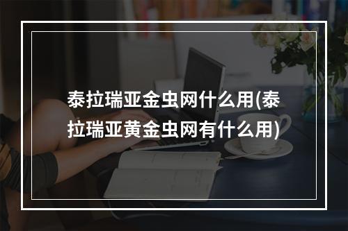 泰拉瑞亚金虫网什么用(泰拉瑞亚黄金虫网有什么用)