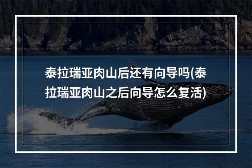 泰拉瑞亚肉山后还有向导吗(泰拉瑞亚肉山之后向导怎么复活)