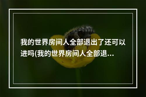 我的世界房间人全部退出了还可以进吗(我的世界房间人全部退出了还可以进吗视频)