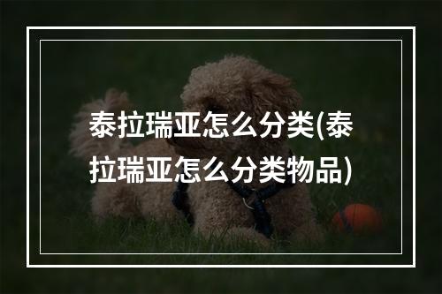 泰拉瑞亚怎么分类(泰拉瑞亚怎么分类物品)