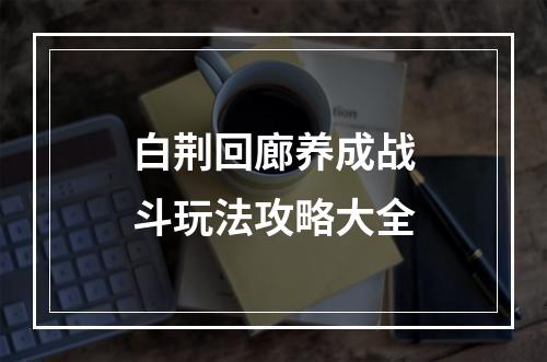 白荆回廊养成战斗玩法攻略大全