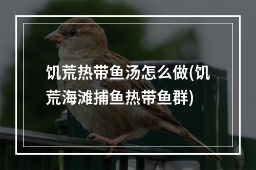 饥荒热带鱼汤怎么做(饥荒海滩捕鱼热带鱼群)