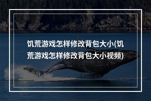 饥荒游戏怎样修改背包大小(饥荒游戏怎样修改背包大小视频)