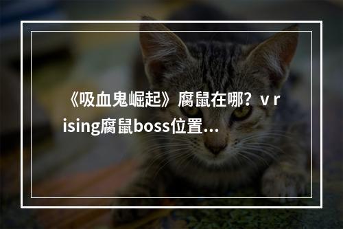 《吸血鬼崛起》腐鼠在哪？v rising腐鼠boss位置介绍--手游攻略网