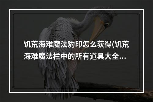 饥荒海难魔法豹印怎么获得(饥荒海难魔法栏中的所有道具大全)