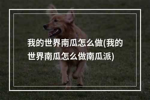 我的世界南瓜怎么做(我的世界南瓜怎么做南瓜派)